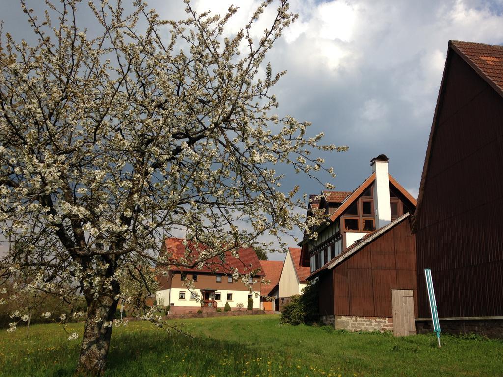 Ferienhaus Annabell Weisbach  المظهر الخارجي الصورة
