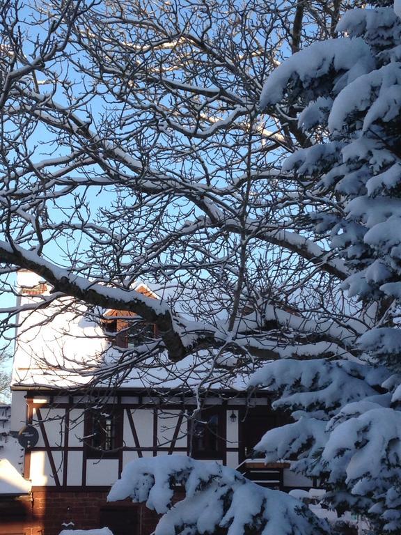 Ferienhaus Annabell Weisbach  المظهر الخارجي الصورة